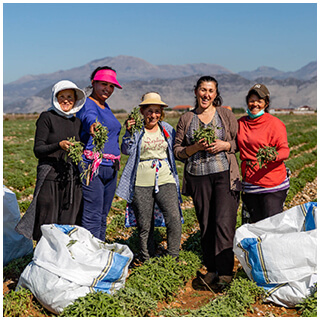 Farm workers standing together in a crop field