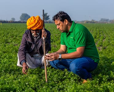 Farmer and agricultural team member examining crops in a field