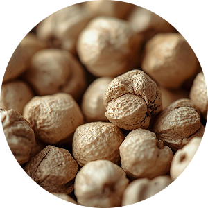 Whole white peppercorns